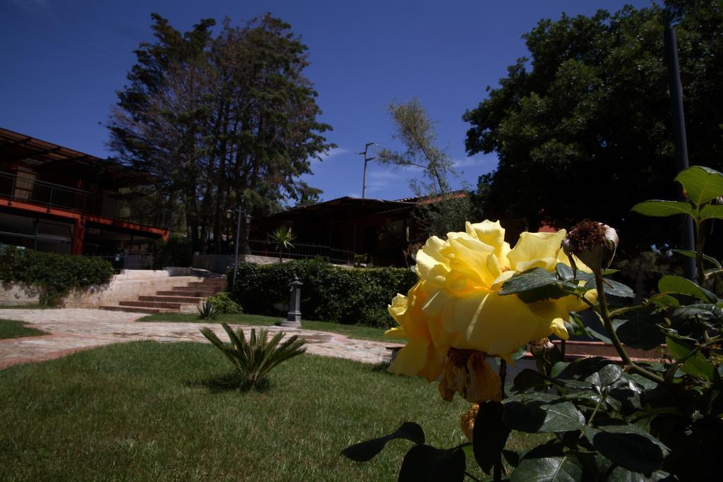 Residenza Mediterranea Zambrone Eksteriør billede